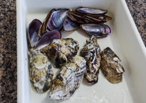 RC Pereira Fotografo em Barra velha curso culinária de peixes e frutos do mar SENAR - SC -1-5