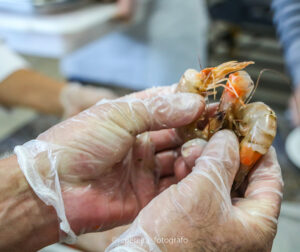 RC Pereira Fotografo em Barra velha curso culinária de peixes e frutos do mar SENAR - SC-26