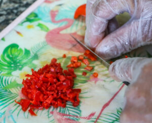 RC Pereira Fotografo em Barra velha curso culinária de peixes e frutos do mar SENAR - SC-7